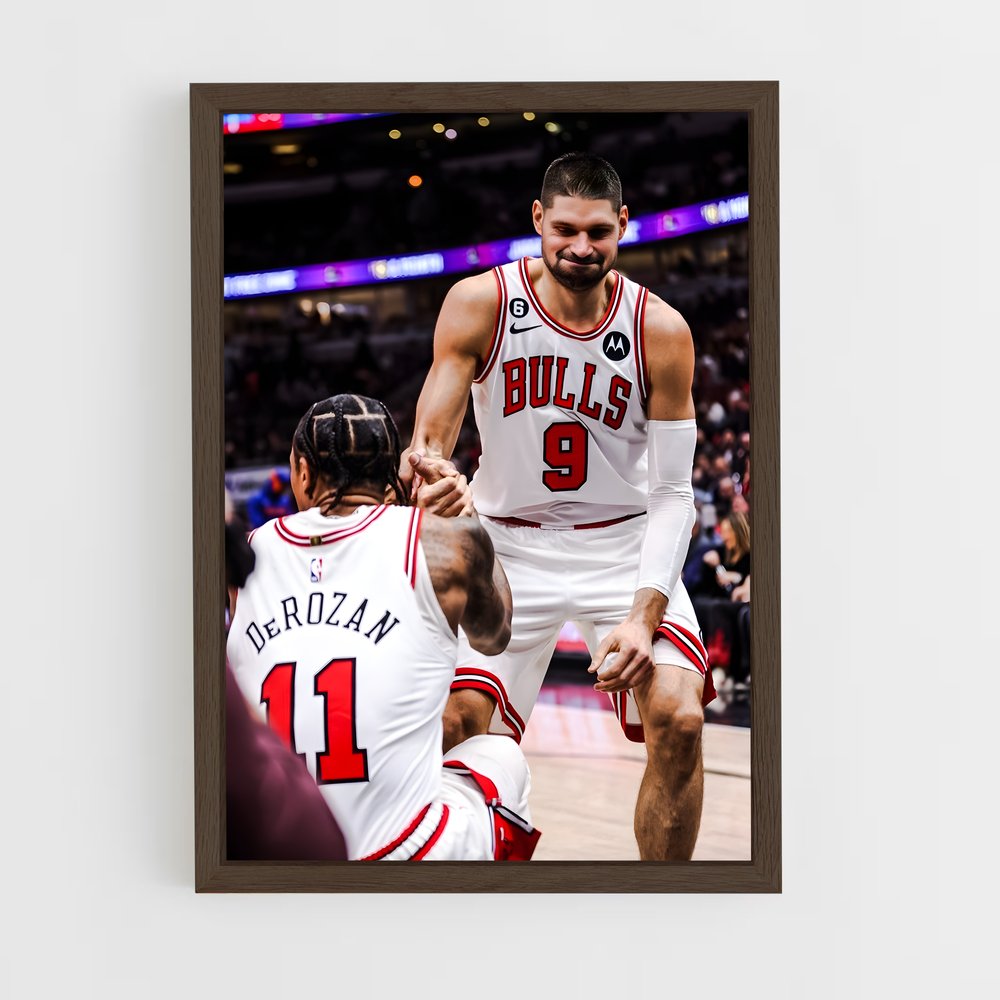 Poster Nikola vucevic – affiche Basketball (vue 5)
